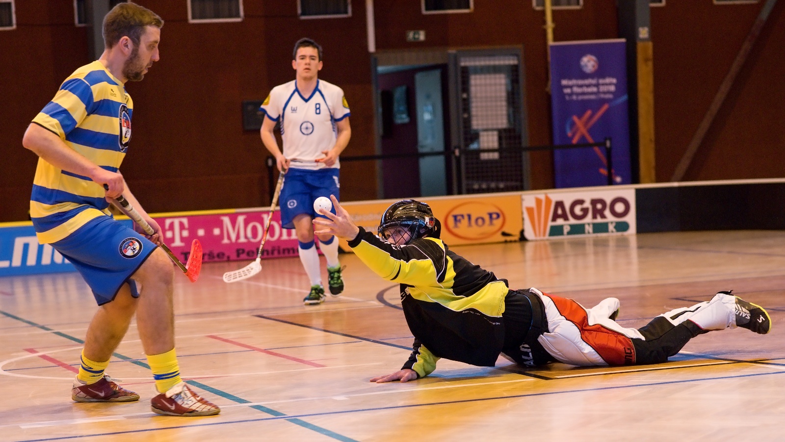 Liga Vysočiny mužů